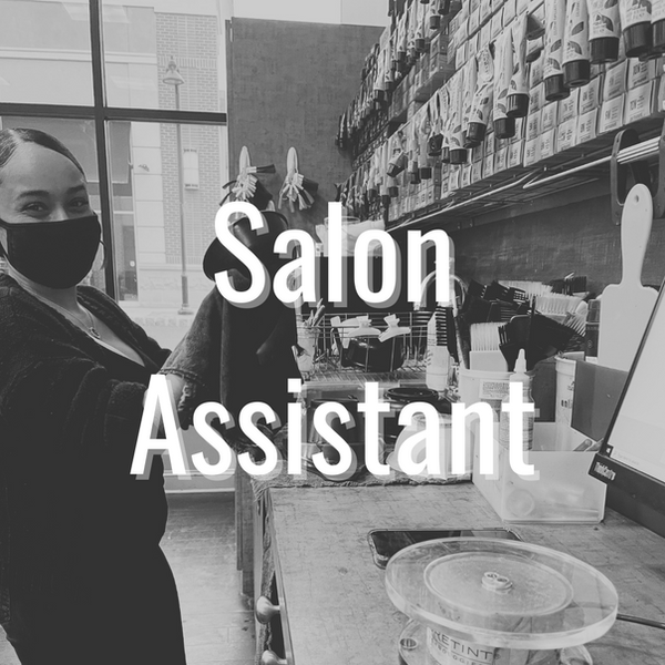 Salon Assistant job description